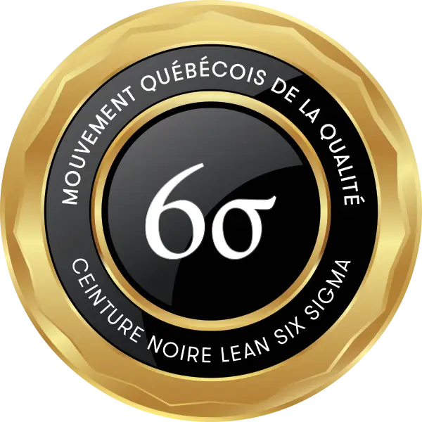 Lean Six Sigma – Ceinture noire (MQQ)